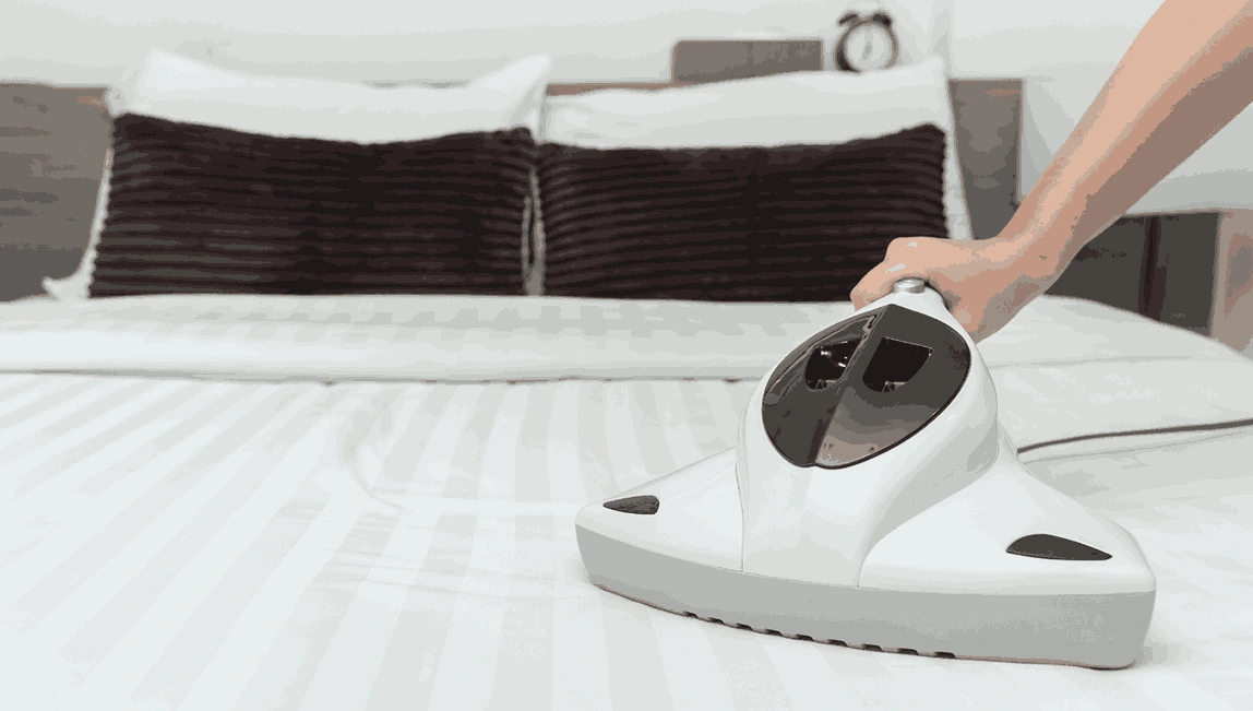 Professional Mattress Cleaning Mount Clear