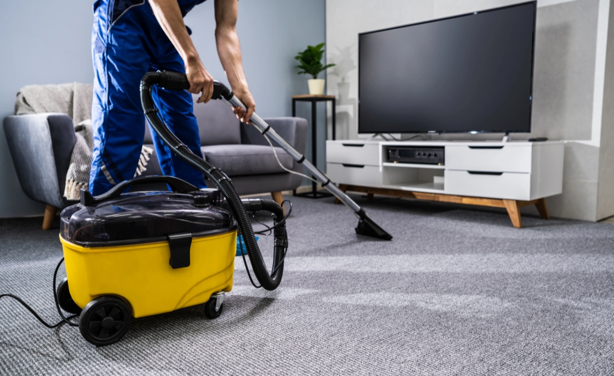 Extract Mattress Cleaning Mount Clear Contact Office